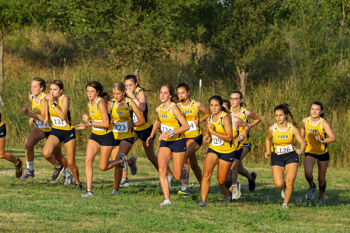 York McCool Cross Country (1).jpg